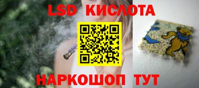 крисы Тулун