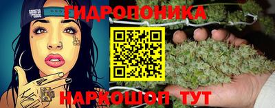 мяу мяу мука Тара