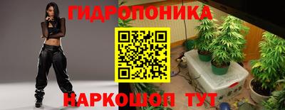 мяу мяу мука Тара