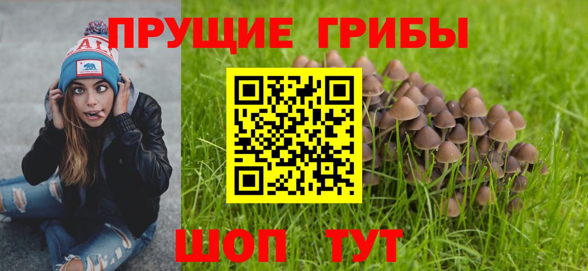 Галлюциногенные грибы мухоморы Ногинск