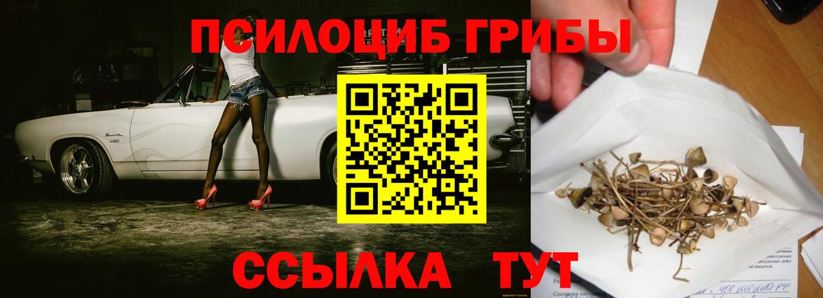 Галлюциногенные грибы Magic Shrooms  где найти наркотики  Ногинск  Вход с VPN 